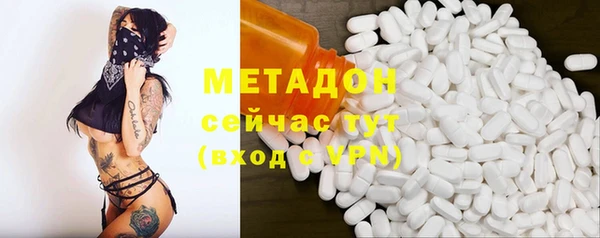 прущие грибы Белоозёрский
