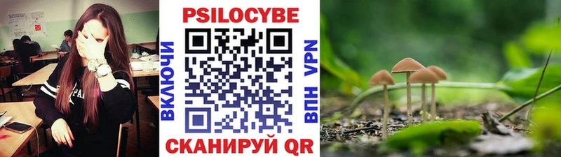 Галлюциногенные грибы мухоморы  как найти закладки  Славск 